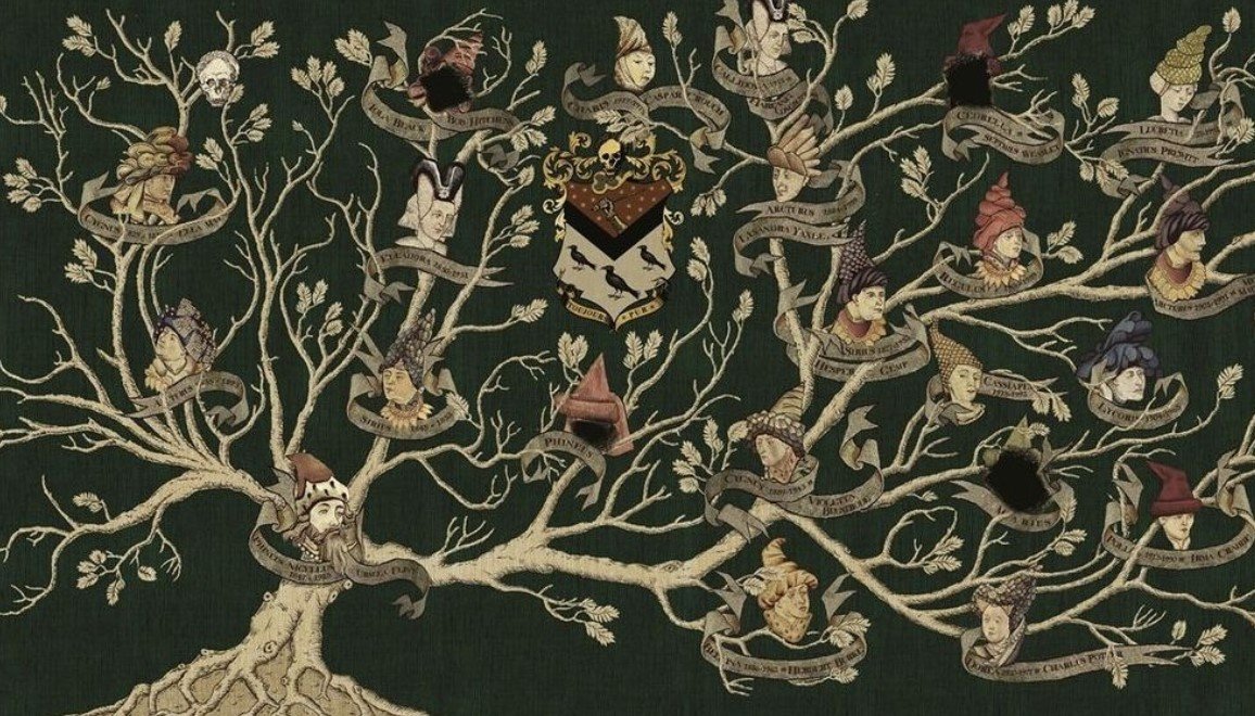 Harry Potter family tree sketch